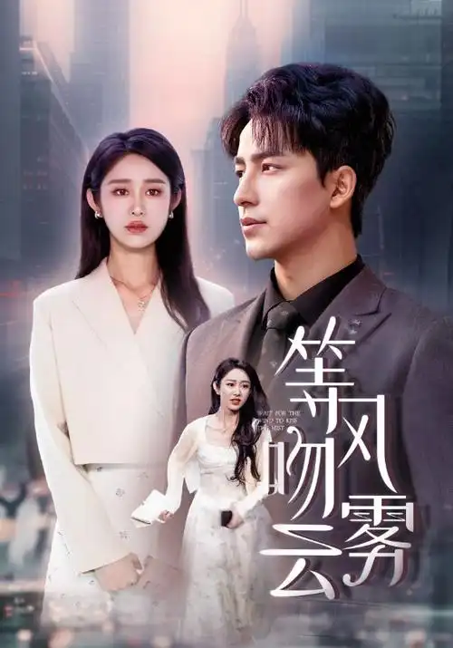 雾港拾光 热播电视剧全集在线观看